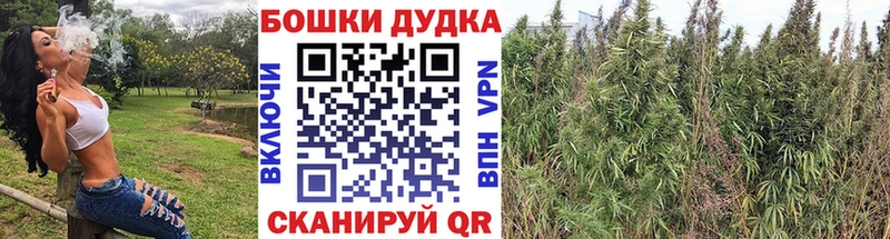 Какие есть наркотики Шуя Конопля Alpha-PVP АМФЕТАМИН MDMA Cocaine ГАШ МЕФ
