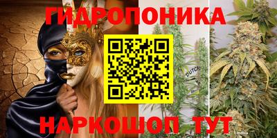 соль ск Моздок