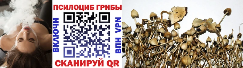 Псилоцибиновые грибы прущие грибы  Шуя 
