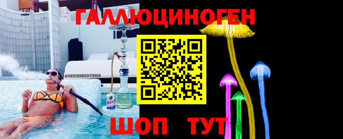 Шуя  Псилоцибиновые грибы Magic Shrooms  Вход с VPN  Псилоцибиновые грибы мицелий 