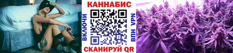 что такое наркотик  Шуя  darknet Telegram  Канабис Bruce Banner 